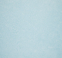 Линолеум Novoflor Extra Sparkle 2440-55 фото 1 | FLOORDEALER