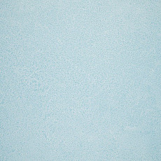 Линолеум Novoflor Extra Sparkle 2440-55 фото 1 | FLOORDEALER