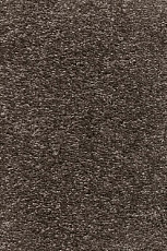 Ковролин AW Omnia 42 фото 1 | FLOORDEALER