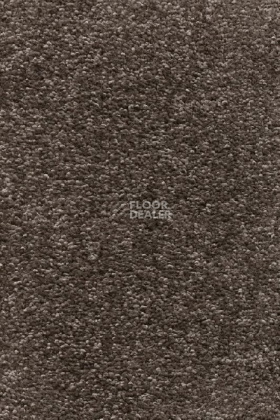 Ковролин AW Omnia 42 фото 1 | FLOORDEALER