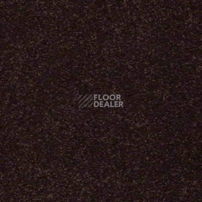 Ковролин Shaw Design Texture Platinum 796 фото 1 | FLOORDEALER