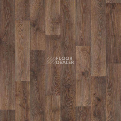 Линолеум Tarkett Activa Eliot 6 фото 1 | FLOORDEALER
