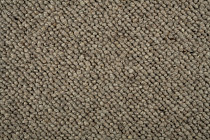 Creatuft Alfa Alfa 40 фото 2 | FLOORDEALER