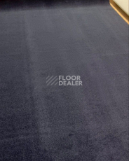 Ковролин Innova Фризе 7079 фото 1 | FLOORDEALER