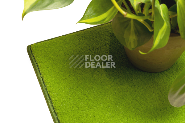 Ковролин Haima STONE (Стоун) 20 Light Green фото 2 | FLOORDEALER