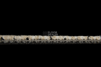 Balsan Take a Walk 610 Take a Walk фото 5 | FLOORDEALER