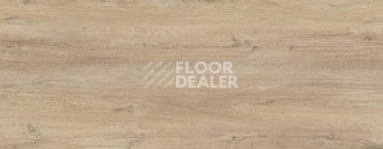 Широкий плинтус Cubu flex life XL 60/19 Touch and style 2936 tibidabo фото 2 | FLOORDEALER