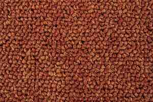 Ковровая плитка Standard Carpets Spectrum sm 526 фото  | FLOORDEALER