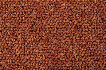 Ковровая плитка Standard Carpets Spectrum sm 526 фото 1 | FLOORDEALER