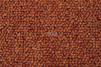 Ковровая плитка Standard Carpets Spectrum sm 526 фото 1 | FLOORDEALER