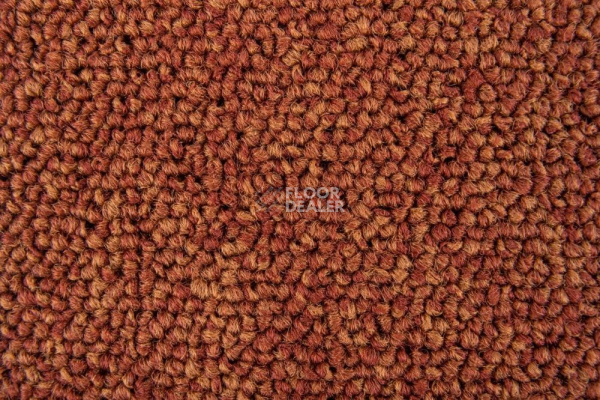 Ковровая плитка Standard Carpets Spectrum sm 526 фото 1 | FLOORDEALER