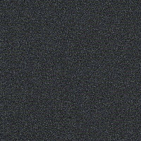 Interface Polichrome 7557 Anthracite фото 1 | FLOORDEALER