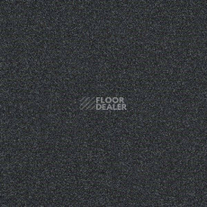 Ковровая плитка Interface Polichrome 7557 Anthracite фото 1 | FLOORDEALER