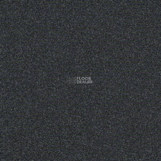 Interface Polichrome 7557 Anthracite фото 1 | FLOORDEALER