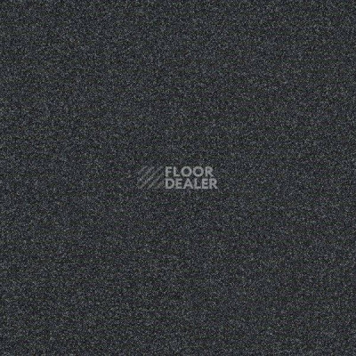 Ковровая плитка Interface Polichrome 7557 Anthracite фото 1 | FLOORDEALER