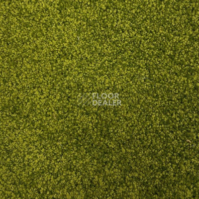Ковролин Либерти 10093 фото 1 | FLOORDEALER