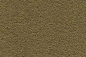 Ковролин Desso Marathon 6421 фото  | FLOORDEALER