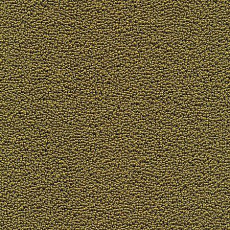 Desso Marathon 6421 фото 1 | FLOORDEALER