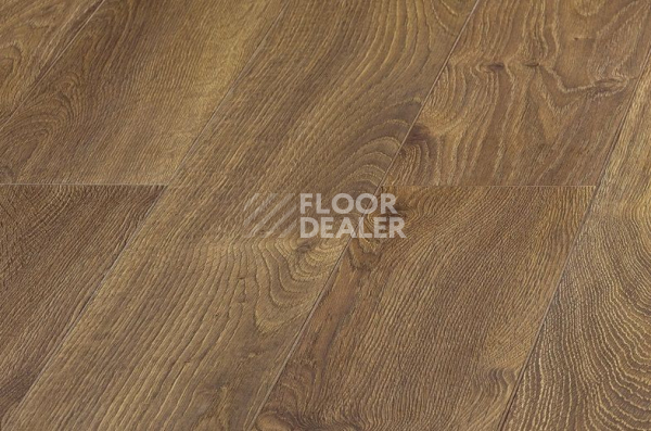 Ламинат Kronopol Aurum Sound d3104 Дуб Страйд фото 1 | FLOORDEALER
