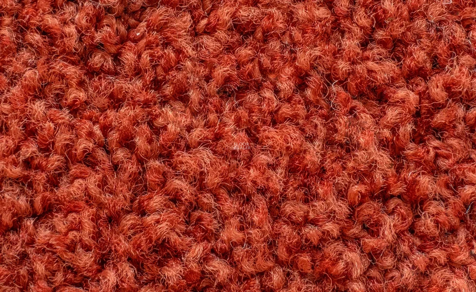 Vorwerk Exclusive1009/Elara 1m16 фото 2 | FLOORDEALER