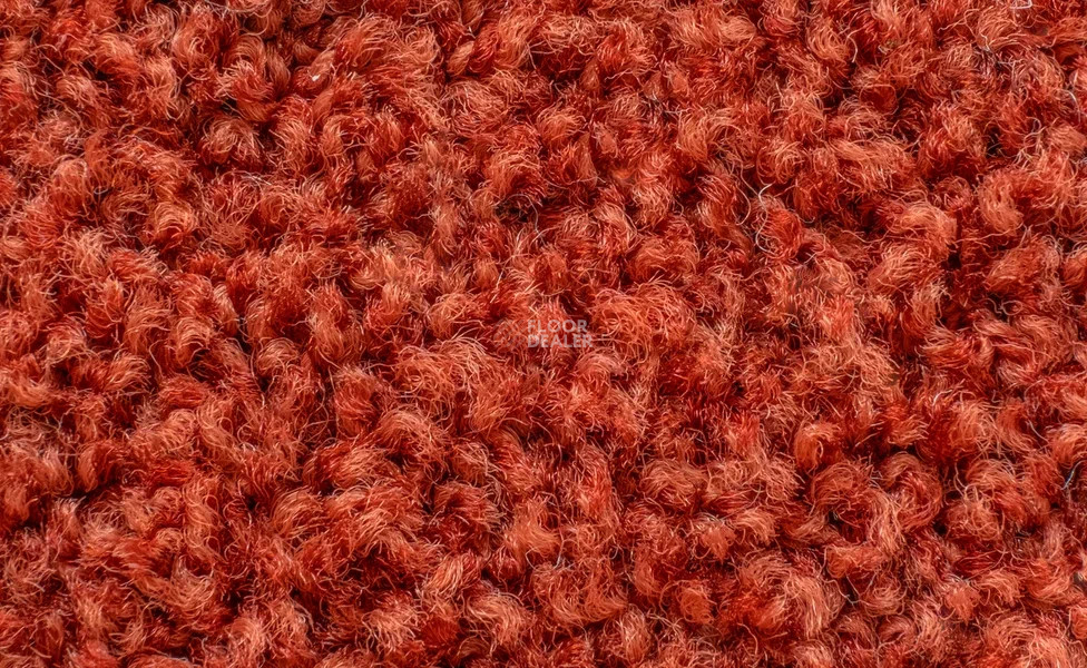 Vorwerk Exclusive1009/Elara 1m16 фото 2 | FLOORDEALER