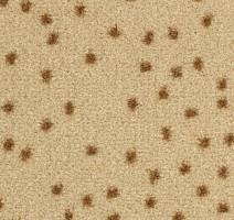 Ковролин Balsan Constellation 610 фото 1 | FLOORDEALER