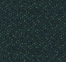 Ковровая плитка Desso Capella Desso Capella 8801 фото 1 | FLOORDEALER