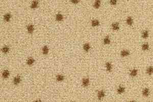 Ковролин Balsan Constellation 610 фото  | FLOORDEALER