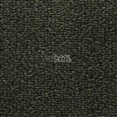 Ковролин Edel Tamino 174 фото 1 | FLOORDEALER