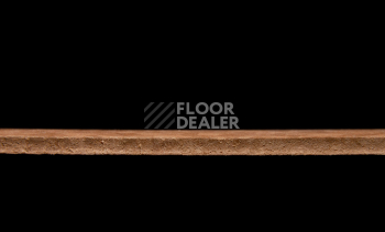 Tarkett iq Melodia 2619 фото 4 | FLOORDEALER