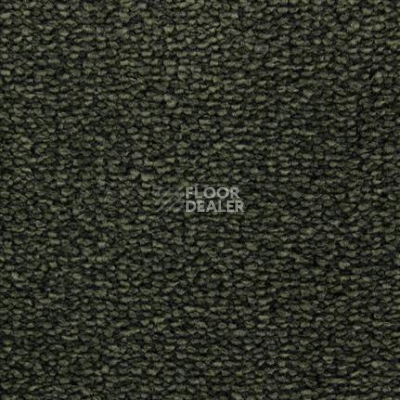 Ковролин Edel Tamino 174 фото 1 | FLOORDEALER