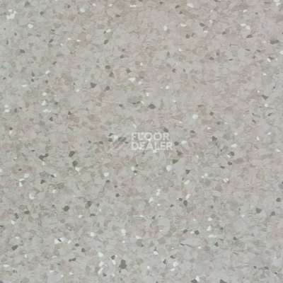 Линолеум Tarkett iQ Aria CARII-655 фото 1 | FLOORDEALER