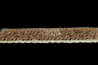 Balsan Les Best S 775 фото 3 | FLOORDEALER