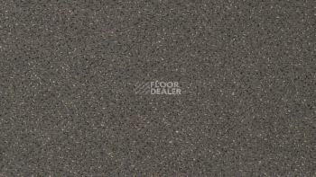 Ковролин Vorwerk Passion 1006 Vorwerk 5v44 фото 1 | FLOORDEALER