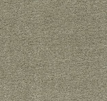 Ковролин AW Sauvage 29 фото 1 | FLOORDEALER