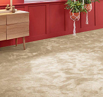 Vorwerk Superior 1067 Mira Vorwerk 8k07 фото 2 | FLOORDEALER