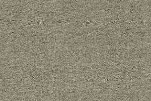 Ковролин AW Sauvage 29 фото  | FLOORDEALER