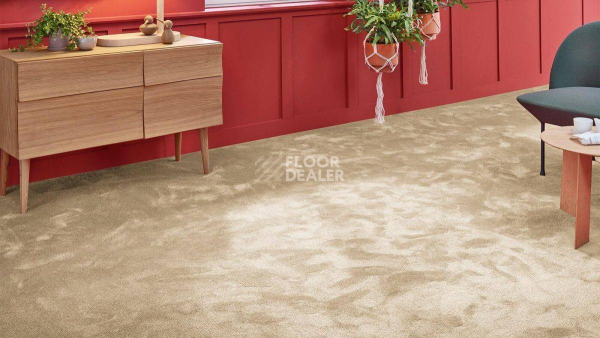 Vorwerk Superior 1067 Mira Vorwerk 8k07 фото 2 | FLOORDEALER