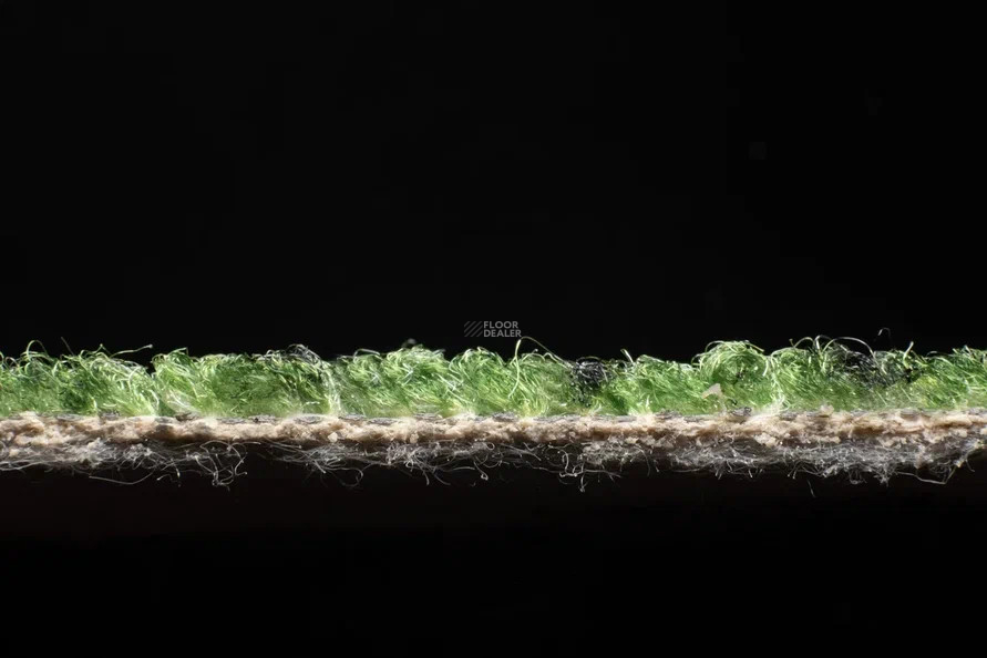 AW Dino 29 Dino фото 6 | FLOORDEALER