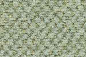 Ковролин Balsan Carrousel Carrousel 215 фото  | FLOORDEALER