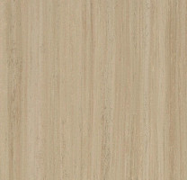 Линолеум Forbo Marmoleum Striato Textura 5256 silt stone фото 1 | FLOORDEALER