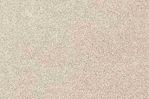 Ковролин AW Grand 39 фото  | FLOORDEALER