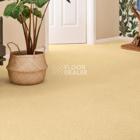Vorwerk Superior 1071 Vorwerk 2f512 фото 2 | FLOORDEALER