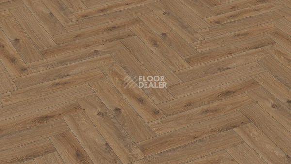 Ламинат Terhurne Herringbone Edition 10мм Y02 Дуб Кондоминимум фото 1 | FLOORDEALER