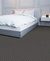 Big Delhi 179 Delhi фото 2 | FLOORDEALER