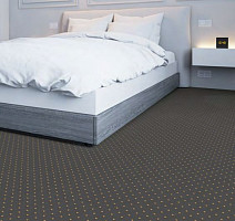 Big Delhi 179 Delhi фото 2 | FLOORDEALER