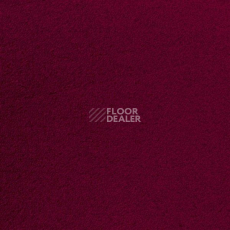 Ковролин Sintelon Eden 77630 фото 1 | FLOORDEALER