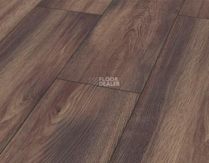 Rooms Suite 242 / 8мм Дуб Эльба платиновый RV826WА фото 1 | FLOORDEALER