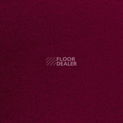Ковролин Sintelon Eden 77630 фото 1 | FLOORDEALER