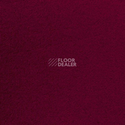 Ковролин Sintelon Eden 77630 фото 1 | FLOORDEALER